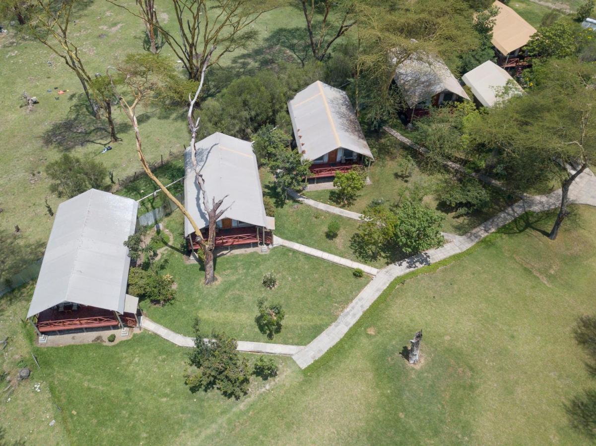 Lake Naivasha Crescent Camp Exteriör bild