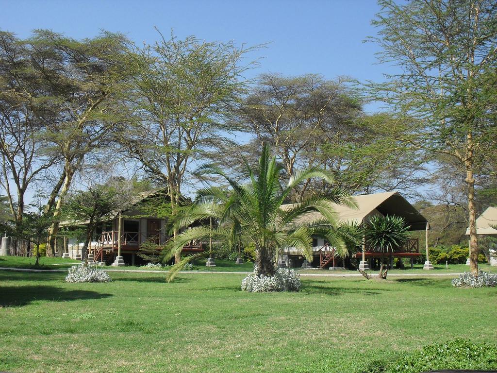 Lake Naivasha Crescent Camp Exteriör bild